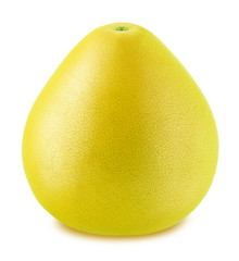 Whole pomelo isolated on a white background.