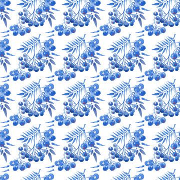  blue berries  pattern