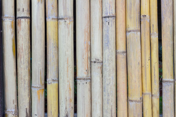 bamboo fence wall texture background, shallow depth of field