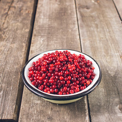 Ripe wild berry cranberries served in a metal bowl