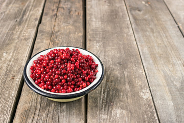 Ripe wild berry cranberries served in a metal bowl