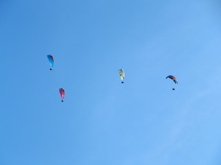 Paraglading in  group