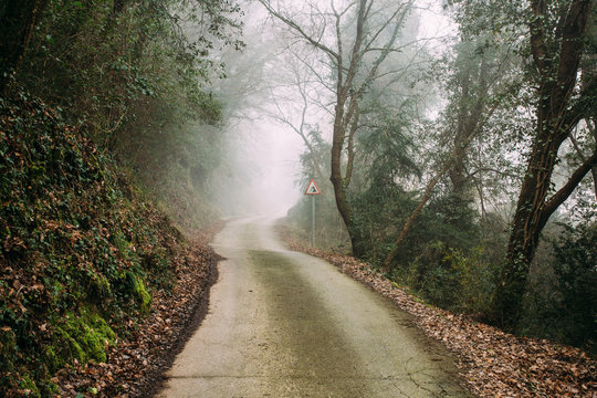 Misty road