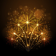 Vector holiday firework