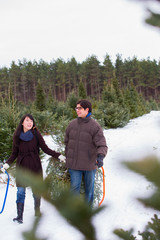 Mixed race couple searching for and cutting down a Christmas Tree