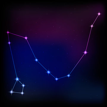 constellation of dragon . vector image of a constellation