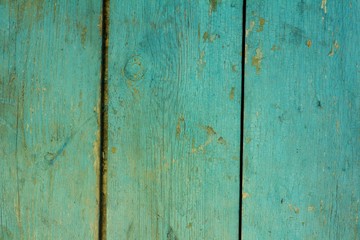 The texture of old painted wooden boards on which over time a lot of cracks and defects appeared