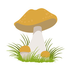 Lactarius quietus, edible forest mushrooms. Colorful cartoon illustration