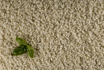 Reis beige mit Basilikum