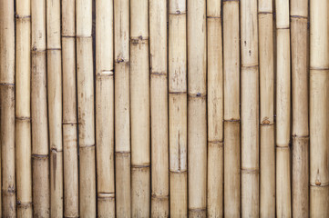 Fototapeta premium Old bamboo fence background.