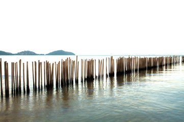 Bamboo wall in the sea