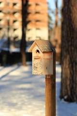 Isolated bird house standing in the park