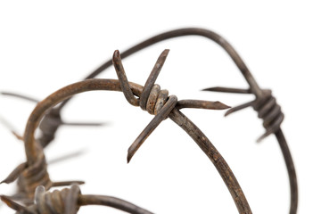 Barbed wire on white background. macro
