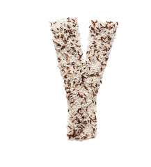 rice grain forming an alphabet letter Y