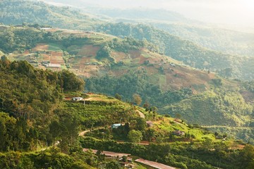 Fototapeta premium Krajobraz w Malezji