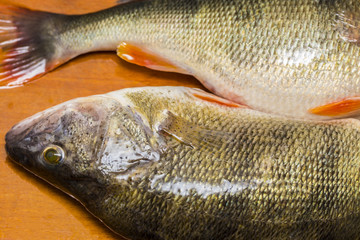 Fresh  perch fish on wooden cutting Board.Fine cuisine