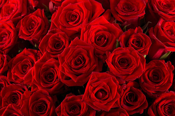 Fototapeta bukiet czerwonych róż, tekstura, tło obraz