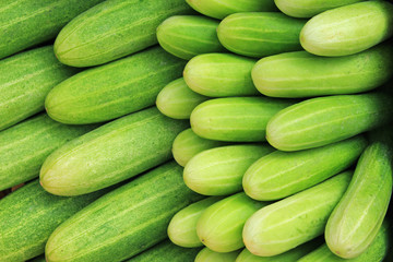 Fresh green cucumber collection outdoor on market