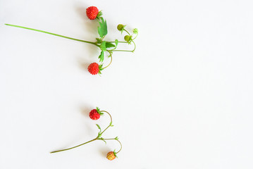 top view of strawberry fruits on bright dual blue and pink color paper background with copy space...
