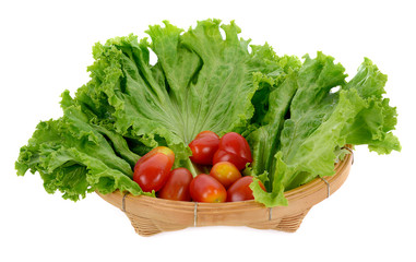 fresh lettuce leaves and tomatoes in the basket on white background