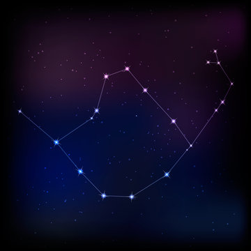 constellation Serpents . vector image of a constellation