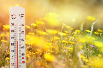 thermometer at field of flowers indicating weather change