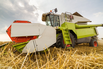 Combine harvester in action on wheat field. Harvesting is the process of gathering a ripe crop from...