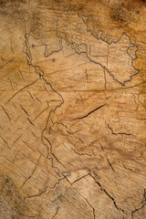 Holz Textur
