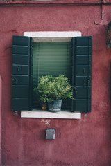 Beautiful house facade on Burano island, north Italy. Old damaged red house wall with a door, some windows and a plant.