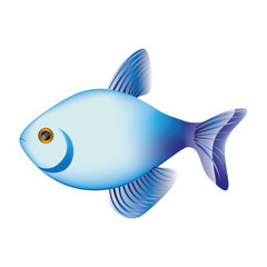 colorful fish aquatic animal icon vector illustration