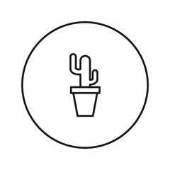 Cactus in a flowerpot. Indoor plant.
