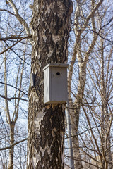 The birdhouse