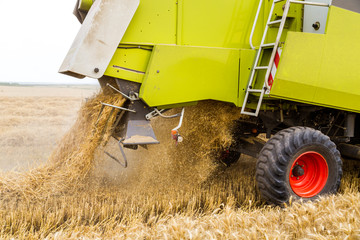 Combine harvester in action on wheat field. Harvesting is the process of gathering a ripe crop from...
