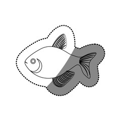 sticker silhouette fish aquatic animal icon vector illustration