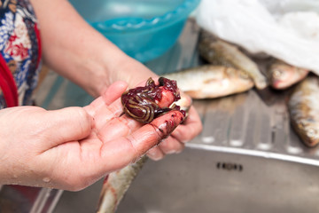 The cook pulls the guts out of the fish