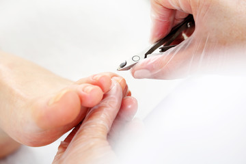 Pedicure. Kosmetyczka wycina cążkami skórki przy paznokciach i wykonuje profesjonalny pedicure. - obrazy, fototapety, plakaty