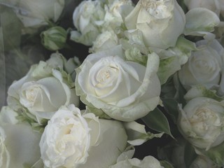 Bunch of white roses 