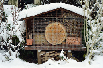 snow at insect hotel with wild bees and wesps.