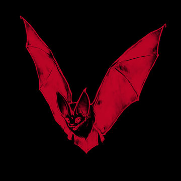 Flying bat. Little vampire. Gothic illustration. Halloween style. Drawn red  bat. Stock Illustration | Adobe Stock
