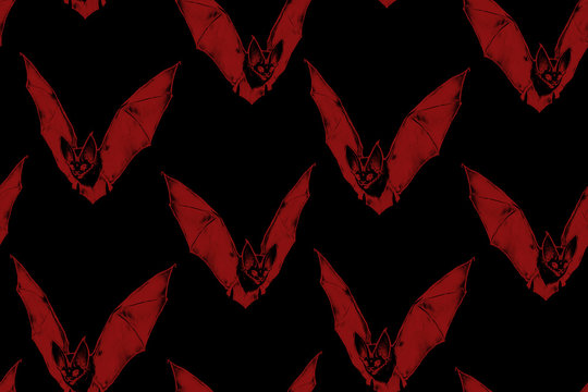 Download Gothic Pastel Bat Wallpaper  Wallpaperscom