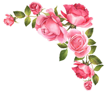 Roses Watercolor Illustration Bouquet