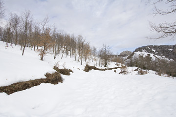 Landscape