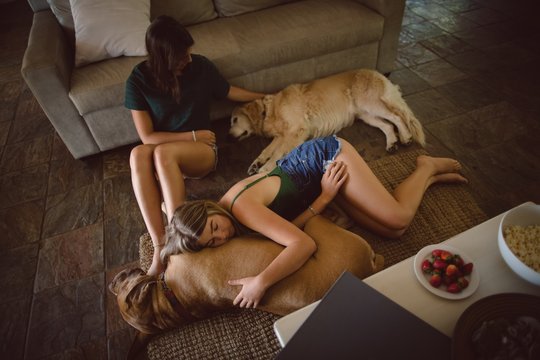 Friend Relaxing With Their Dog In Living Room