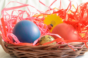 Easter eggs on a light background