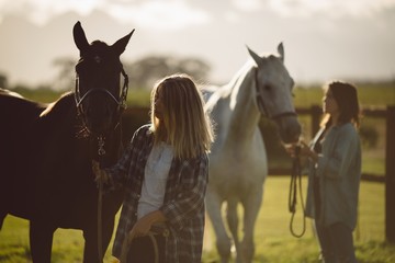 Women standing with horse in farmland