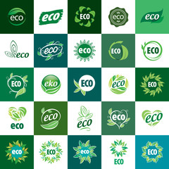 icon vector eco