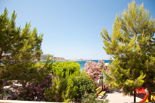 Malta. Parks, plants and flowers. Old city.  