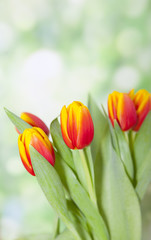 Spring Flowers Bouquet