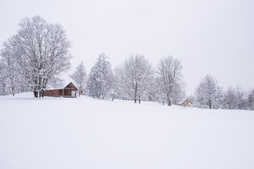 Fototapeta na wymiar Old wooden house in Turaida castle park during the winter. Winter landscape. Sigulda Latvia