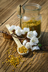 Grains of bee pollen in jar and wooden spoon on wooden table with flowers of spring trees. Apitherapy. Bee products.